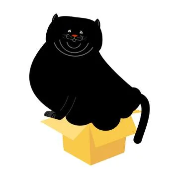 Fat Cat in small box isolated. Home pet in cardboard box. Vector illustration Stock Illustration