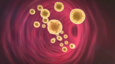 Fat cell in the blood Stock Footage 57645015