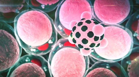 fat cells, fat cell and Macrophage, fiel... | Stock Video | Pond5