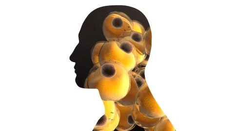 Fat Cells Inside a body Stock Illustration