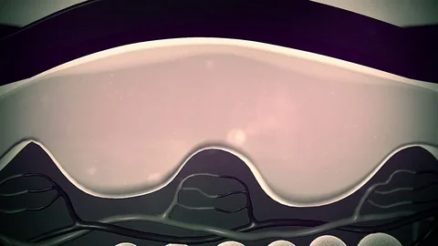 Fat cells under skin Video stock 75617286