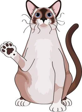 Fat cute thai cat waves his paw and says hi Stock Illustration