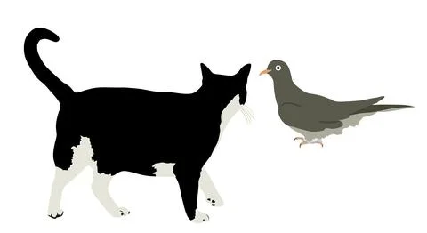 Fat hungry cat chasing dove bird vector illustration Stock Illustration