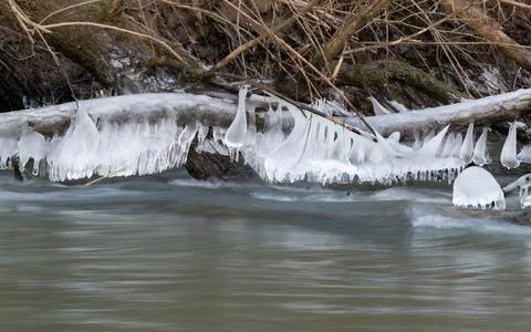 Fat icicles hang from fallen tree above fast river Stock Photos