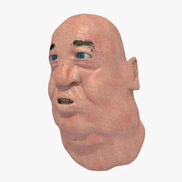 Fat Man Head ~ 3D Model ~ Download #91427156 | Pond5