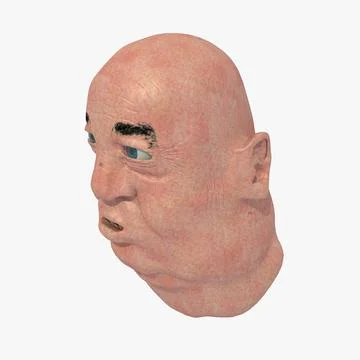 Fat Man Head ~ 3D Model ~ Download #91427156 | Pond5