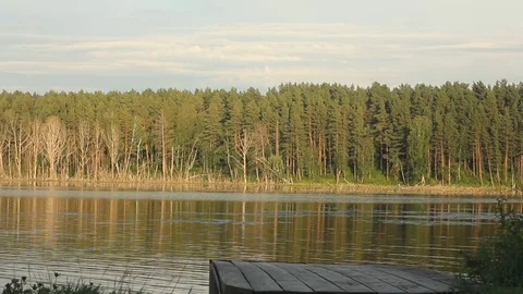 Fat Man Jumping Into the Lake at Sunset. Stock Footage 77613702