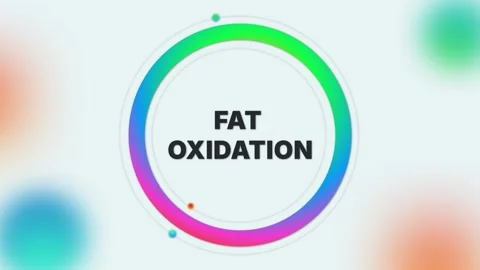 Fat Oxidation text animation on light gradient medical background Stock Footage 314424177