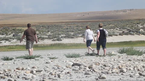 Fat people walking in desert Stock Footage 27074763