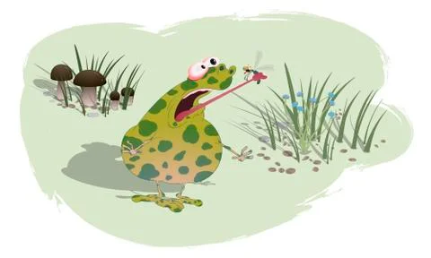A fat spotted toad caught the dragonfly in tongue. Vector illustration on a c Stock Illustration