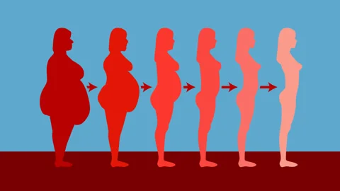 Fat-thin Stock Footage 146686677