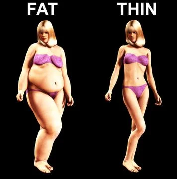 Fat To Thin Stock Illustration