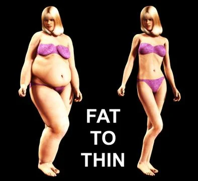 Fat To Thin Stock Illustration