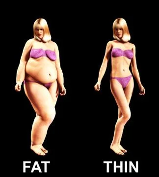 Fat To Thin Stock Illustration