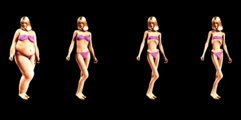 Fat To Thin Stock Illustration