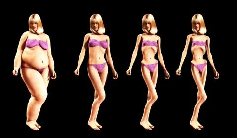 Fat To Thin Stock Illustration