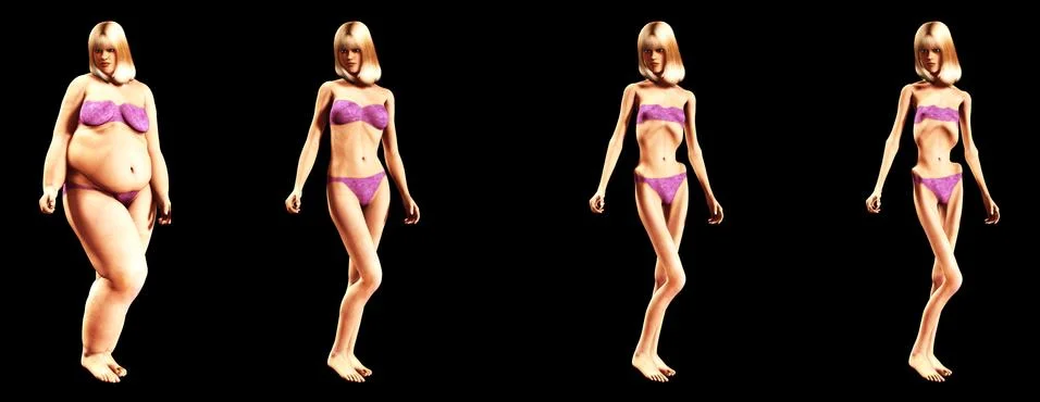 Fat To Thin Stock Illustration