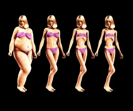 Fat To Thin Stock Illustration