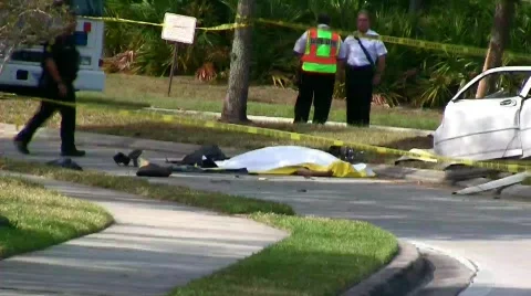 Fatal auto accident (vid 5) Stock Footage 378228