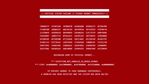 Fatal kernel panic displays a critical system failure notification Stock-Footage 337199541