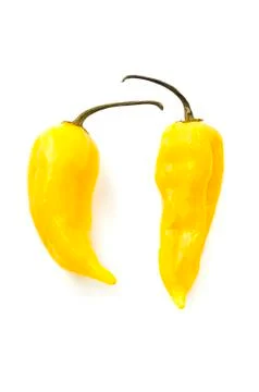 Fatalii Yellow Stock Photos