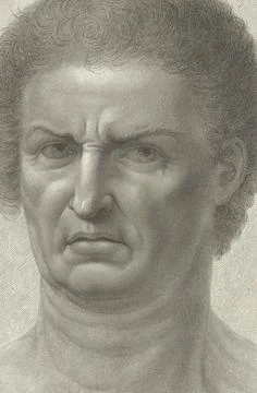 The Fate of a Man Portrait by Leonardo da Vince Historical digitally restored Stock Illustration