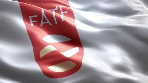 FATF Flag Stock Footage 235854550