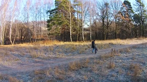 Father and child walk through a forest Stock Footage 46199057
