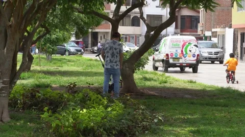 A father and his son playing in a park trying to climb a tree Stockbeeldmateriaal 148348639