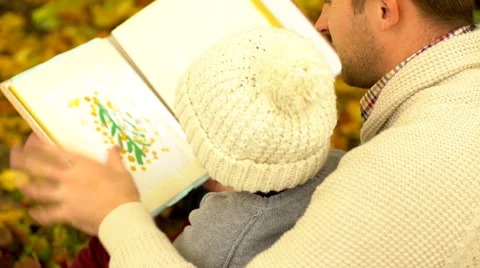 Father and his son viewing pictures in drawing album in autumn park Stock Footage 68956813