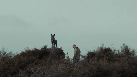 Father and kids looking at a dog statue by the Lake Tekapo, New Zealand Stock Footage 100021953