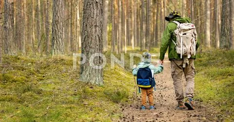 Father and son on a adventure hike in forest. bonding activities ...