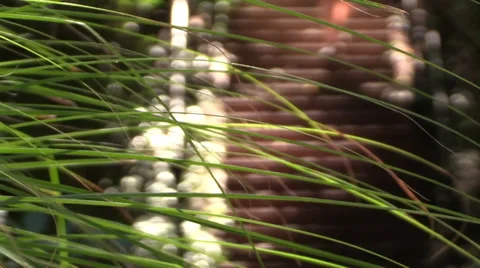 Father and son, anonymous Stock Footage 30368533