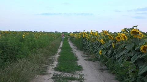 Father and son are having fun running by the road in countryside Stock Footage 72573808