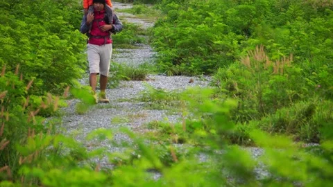 Father and son are taking a walk in the forest as their holiday activity Stock Footage 224321362