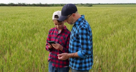 Father and son check smartphone in wheat field. Family bonding moment in nature Stock Footage 346753417