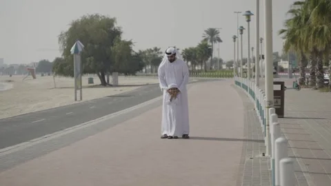 Father and son on the corniche. Stock Footage 302534849