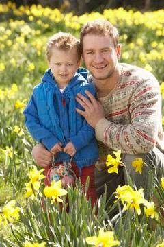 Father and son on easter egg hunt in daffodil field Stock Photos