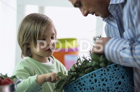 Father and son examining fresh herbs in kitchen Stock Photos