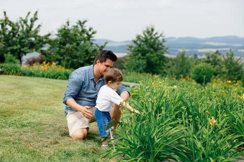 Father and son exploring different plants in a meadow in a park Stock Photos