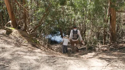 Father and son exploring nature trail Stock Footage 310733785