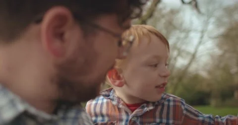 Father and son exploring tree bark Stock Footage 60793833