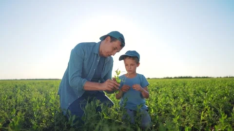 Father and son in field. Father and son planting a field of agriculture. A young Stock Footage 318008853