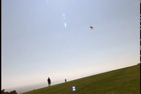 FATHER AND SON FLY A KITE ON A HILL Video stock 1052829