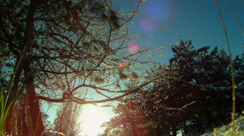 Father and son Video stock 835233