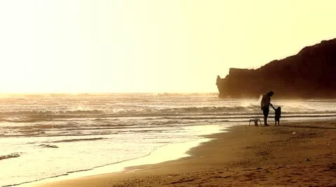 Father and son having fun on golden sand beach Stock Footage 11405124