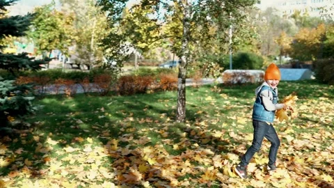 Father and son having fun in autumn park with fallen leaves, throwing up leaf Stock Footage 247728189