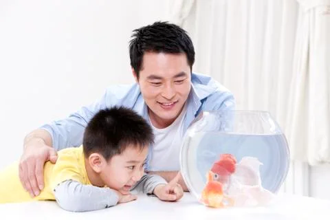 Father and son having fun with goldfishes Stock-Fotos
