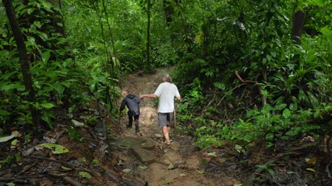 Father and Son Hiking Through Dense Tropical Rainforest on Muddy Trail. Stock Footage 338369452