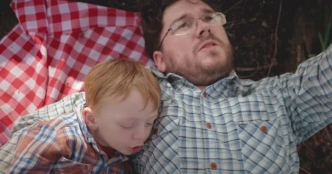 Father and son lying under tree exploring the canopy Stock Footage 60793915